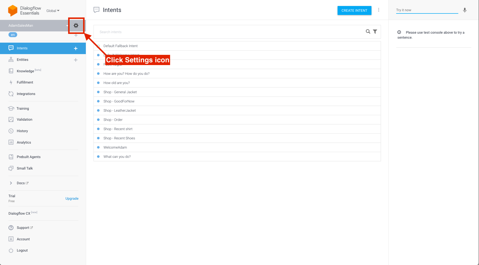 Dialogflow Essentials Console